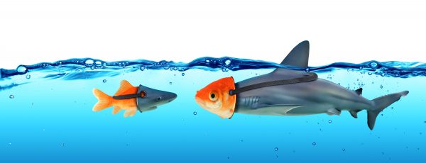 A small goldfish in a shark mask and a large shark in a goldfish mask swim towards each other in the clear blue water, with a visible waterline at the top. It's as if they're engaging in an asymmetric marketing strategy designed by a Madison Wi marketing agency.