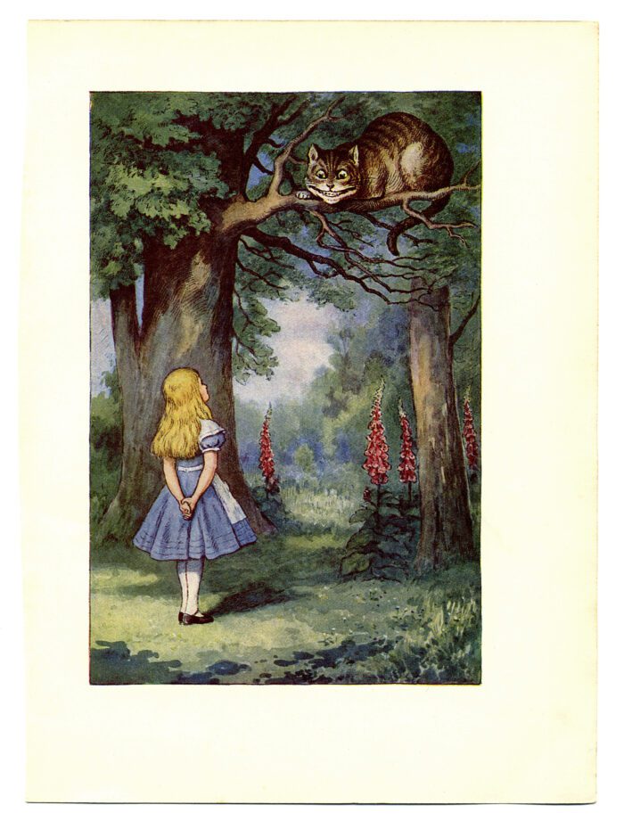 Alice and the Cheshire Cat - Business Strategy