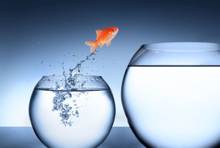 Goldfish leaping between two fishbowls to demonstrate business scalability