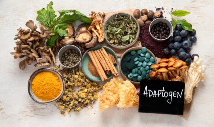 Assortment of natural adaptogens and herbs on table