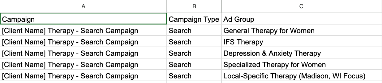 Spreadsheet displaying various therapy campaign types
